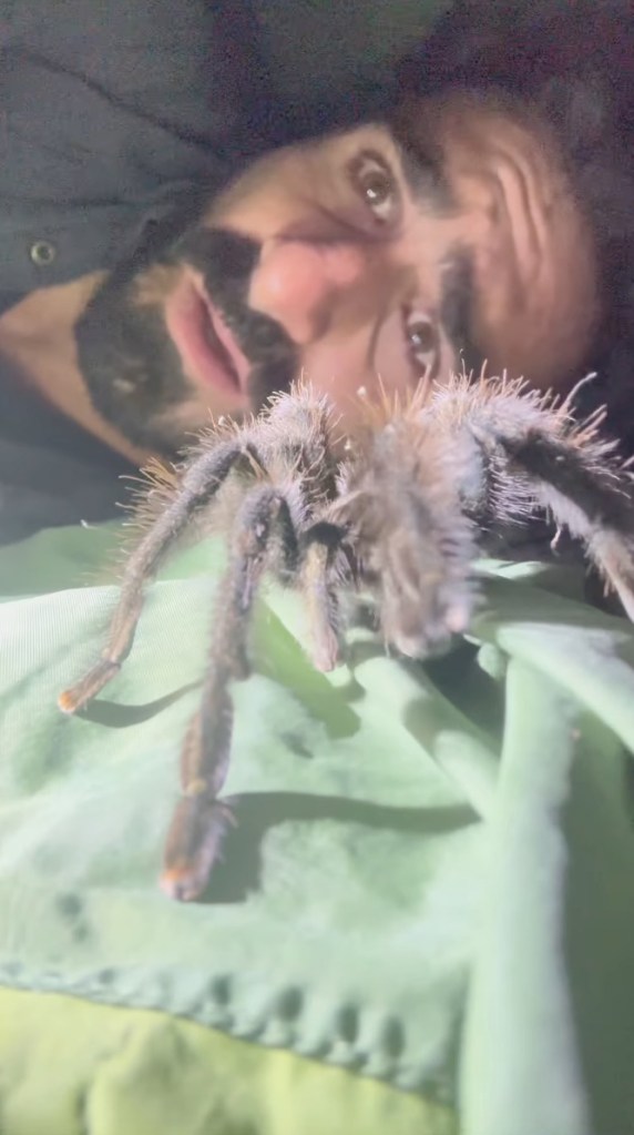 Rosolie with a tarantula that broke into his tent.